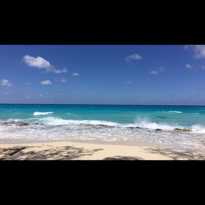 Meet your Posher, Alan